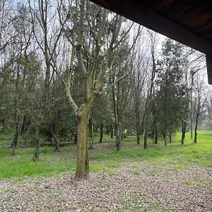 green-woods.hotelinveneto.com/